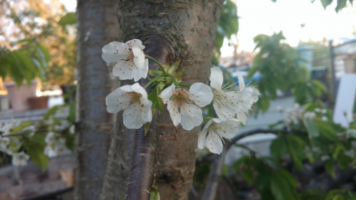 IMG 20180430 191415254 TOP