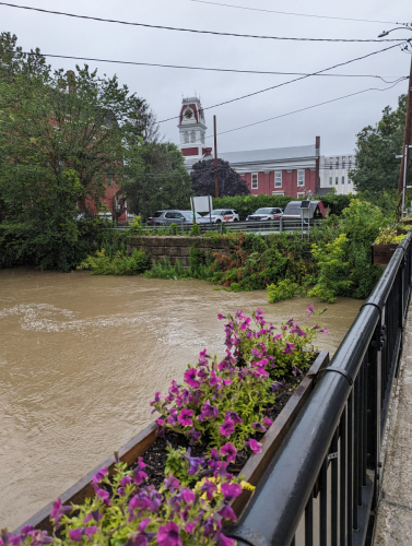 PXL 20230710 120634075