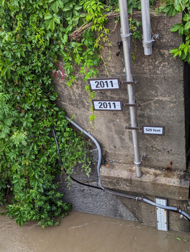 PXL 20230710 120743489