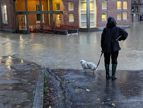 PXL 20230711 001913229