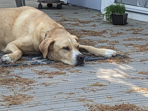 PXL 20230429 010026933