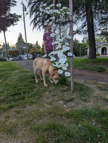 PXL 20230429 024053029