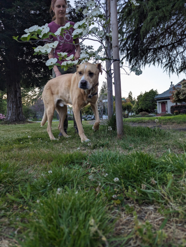 PXL 20230429 024059170