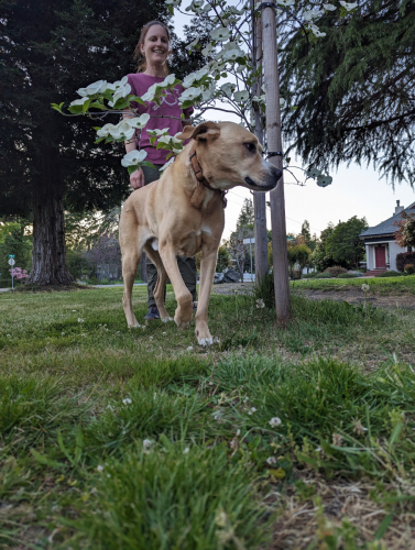 PXL 20230429 024059929