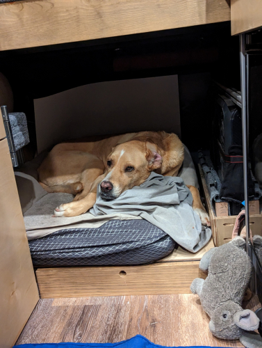 PXL 20230429 034335322.PORTRAIT.ORIGINAL